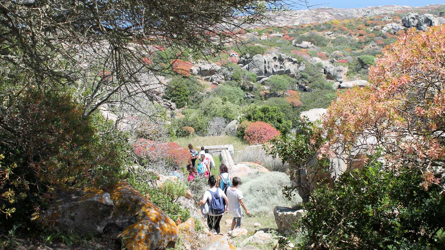 Classe in escursione all'Asinara tra sentieri e rocce con guida ambientale