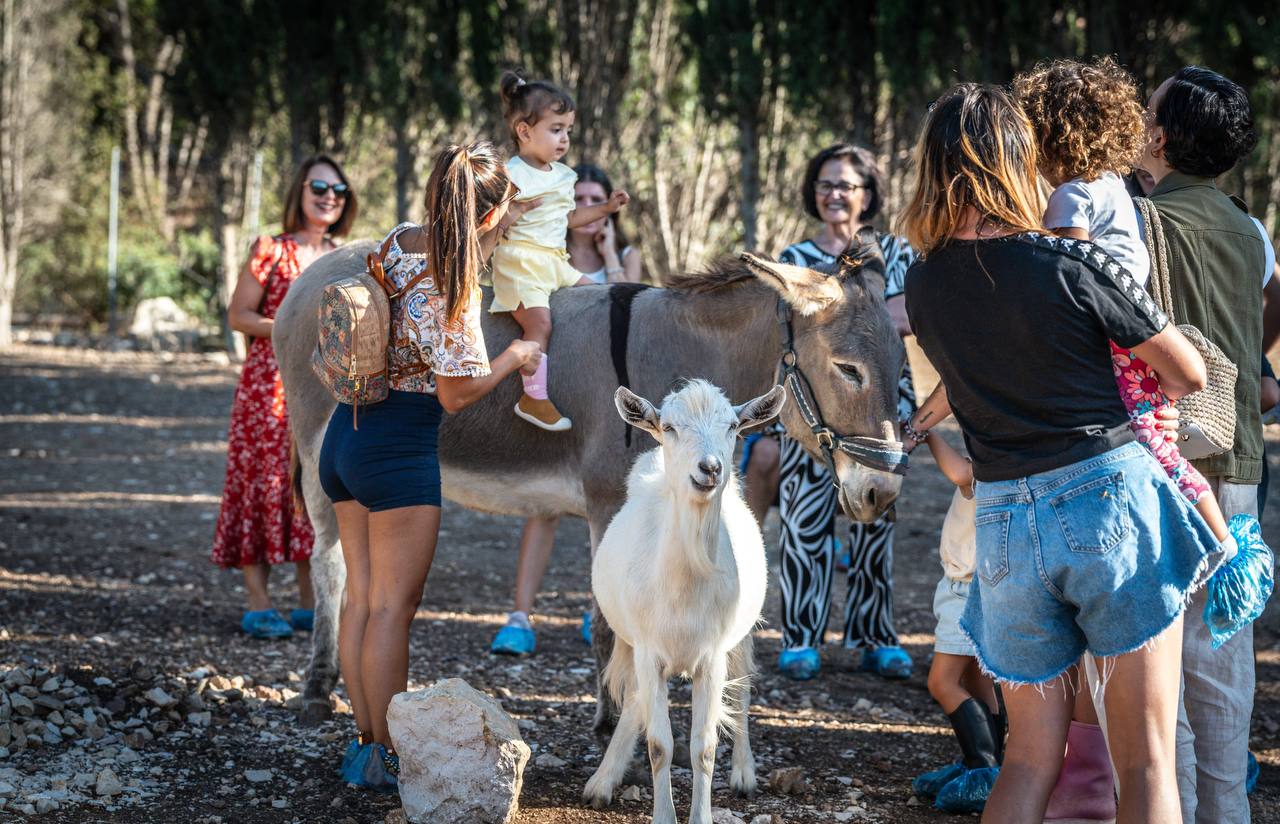 Bambini e insegnanti di una classe in visita a una fattoria didattica in Sardegna con asino e capre