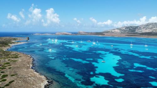 Gulf of Asinara