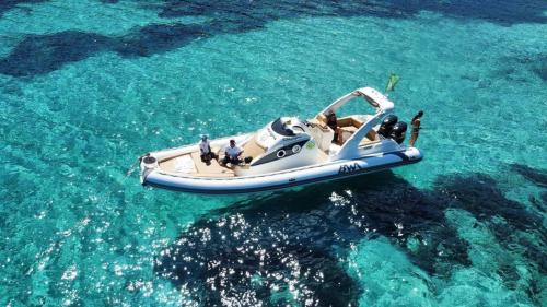 <p>Excursion aboard a dinghy to discover the island of Asinara with several stops</p><p><br></p>