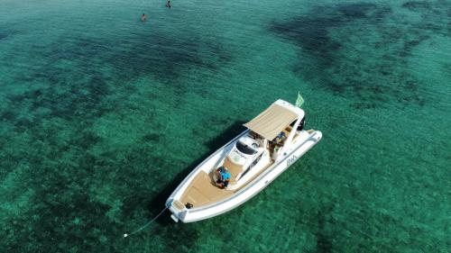 <p>Schlauchboot mit Markise während eines halbtägigen Ausflugs nach Asinara</p><p><br></p>