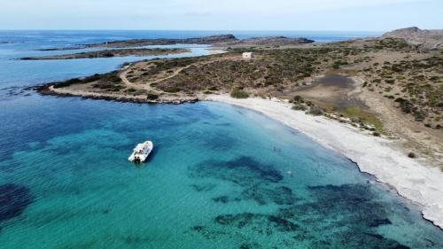 Gommone naviga di fronte all'isola dell'Asinara durante tour guidato