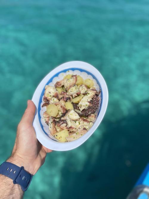 Oktopus und Salat aus blauem Meer