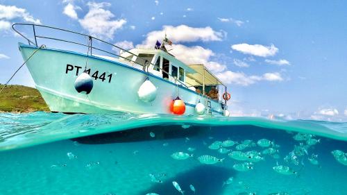 Barca da pesca e pesci nelle acque azzurre del Golfo dell'Asinara