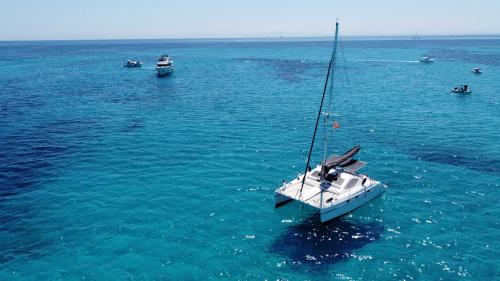 Escursione in catamarano all'Asinara