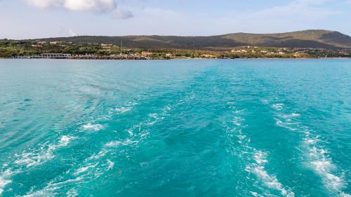 Acqua azzurra a largo di Stintino