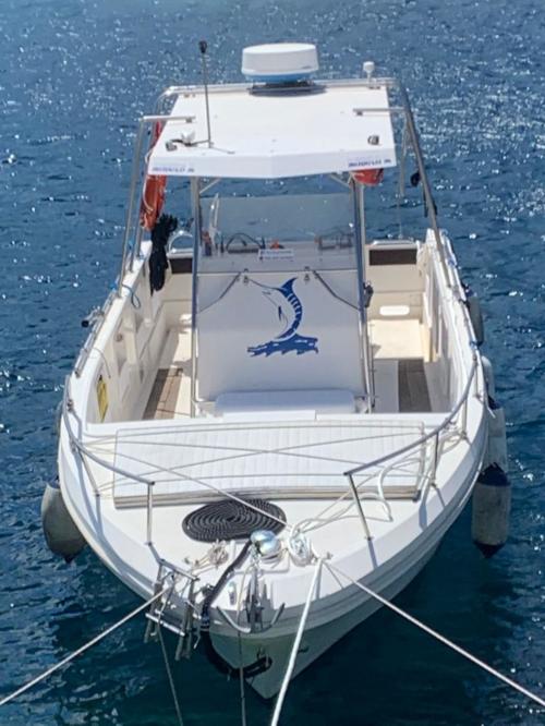 Steigen Sie an Bord dieses Motorboots Marlin Sub für Ihren Bootsausflug im Golf von Orosei!