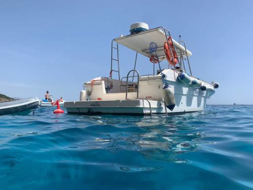 Steigen Sie an Bord dieses Motorboots Marlin Sub für Ihren Bootsausflug im Golf von Orosei!