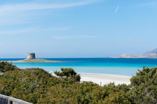 Panoramica de La Pelosa e della sua torretta
