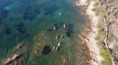 SUP dans la mer cristalline de Cala Moresca à Golfo Aranci