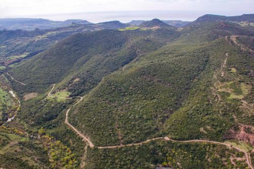 Path for quad excursion in the territory of Bosa