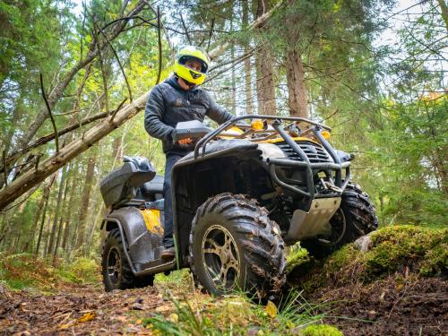 Escursione guidata in quad