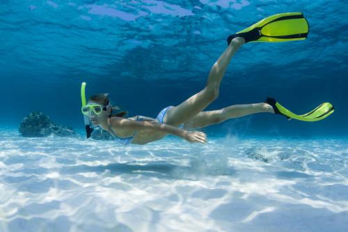 Escursione guidata di snorkeling