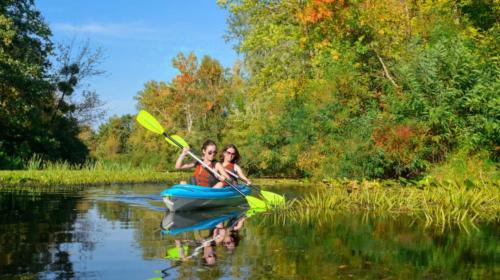 <p>Excursionistas durante alquiler de canoa en el río Temo</p>