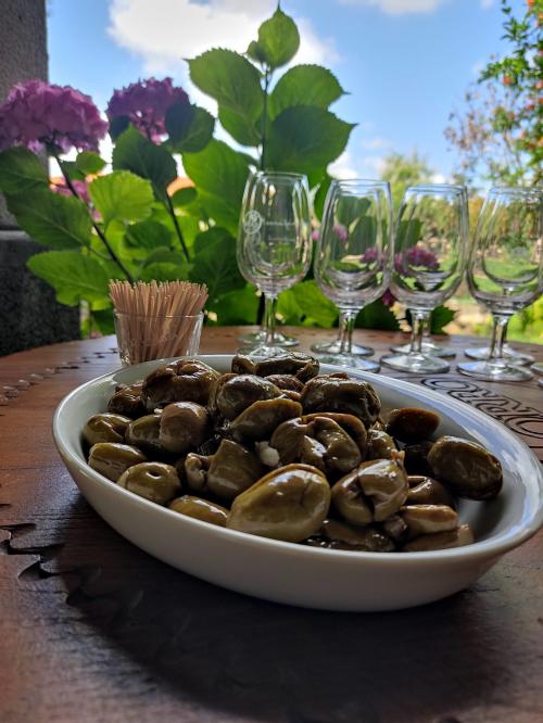 Pitted green olives offered during tasting