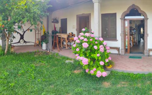 Zona verde y entrada a una bodega