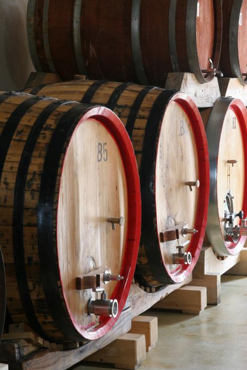 Wine barrels in a company in the Oristano area