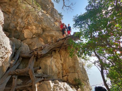 Passaggio su corda e albero come scala durante Selvaggio Blu sulla costa est Sardegna