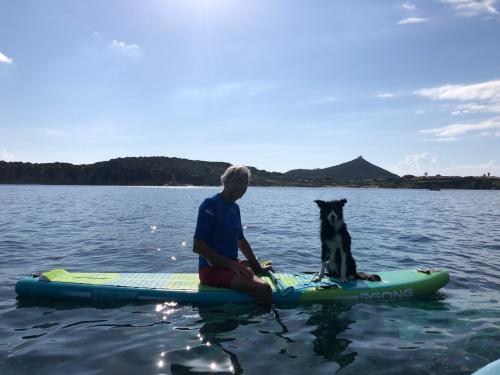 <p>Wanderer und Hund am SUP vor der Küste von Villasimius</p>