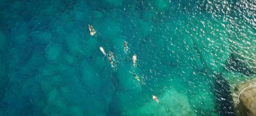 <p>Wandergruppe beim Schnorcheln in Villasimius</p>