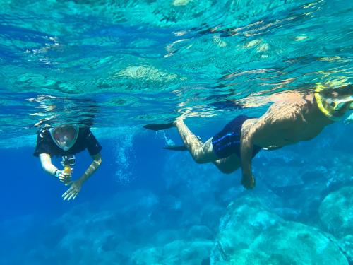 Escursionisti fanno snorkeling 