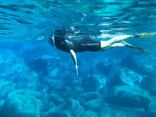 <p>Schnorcheln auf der Oberfläche</p><p><br></p><p><br></p>