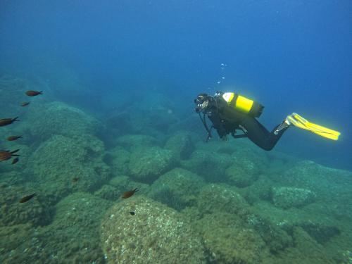 <p>Buceo guiado a Cabo Carbonara</p>