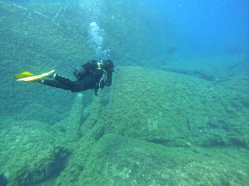 Immersione guidata nella Costa di Capo Carbonara