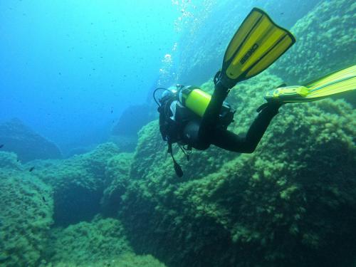 <p>Scuba diving in Capo Carbonara</p>