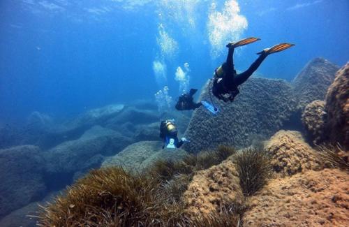 <p>Guided dive in Capo Carbonara</p>