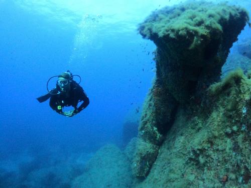 <p>Buceo guiado a Cabo Carbonara</p>
