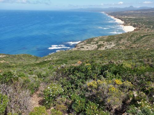 Panoramica della spiaggia di Scivu