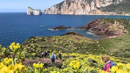 Trekking avec vue panoramique sur la mer de Masua