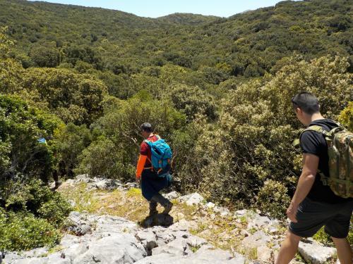 Escursionisti durante trekking guidato nella Foresta del Marganai