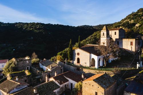 Passeggiata guidata nel bordo di Lollove