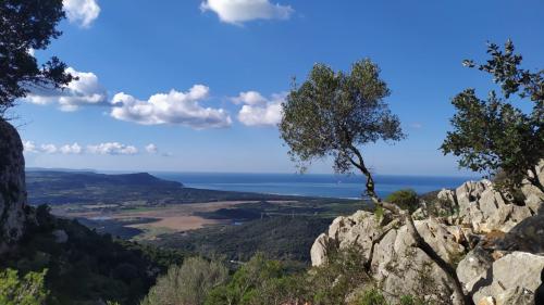 Mar distante y vista panorámica durante la excursión de trekking