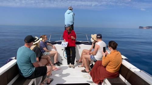 Meeresbeobachtung während der Delphinbeobachtungstour im Golf von Alghero