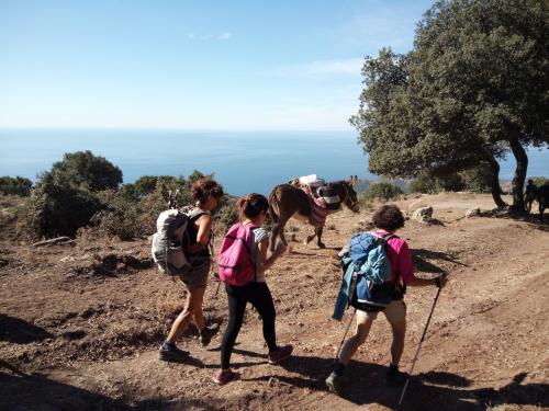 Escursionisti durante tour con gli asini in Sardegna in mezzo alla natura