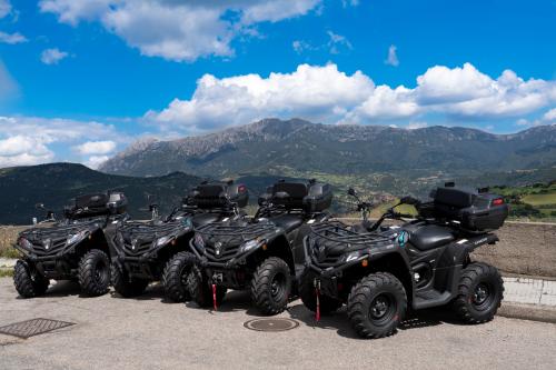 <p>Quad and guided excursion from Orgosolo</p>