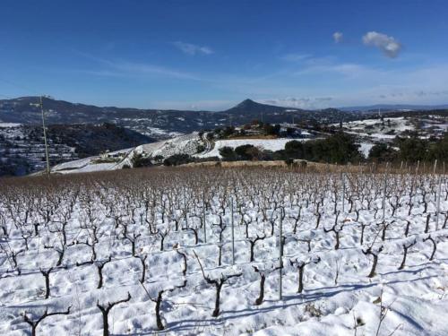 Vigna innevata a Mamoiada