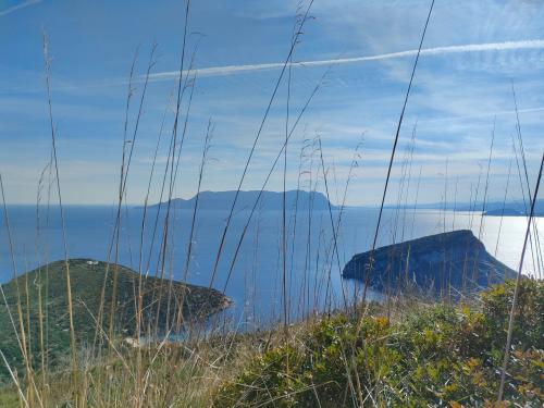 Escursione di trekking a Golfo Aranci con vista mare 