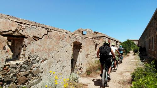 <p>Group of young people on bike during bike excursion between the Archipelago of La Maddalena and Caprera</p><p><br></p>