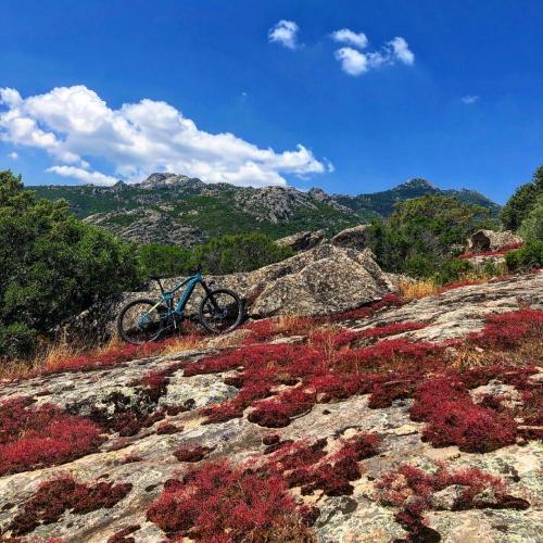 <p>Geführte Radtour in der Gallura</p><p><br></p>