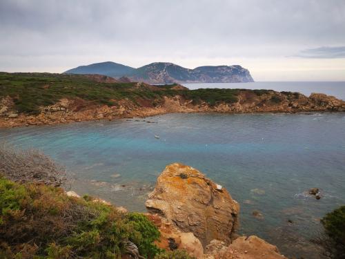 Excursion guidée de trekking avec vue sur la mer dans le territoire d’Alghero