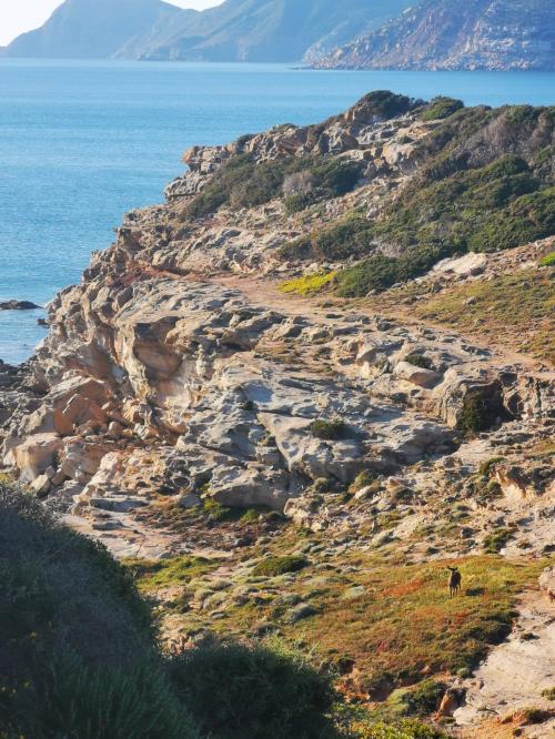 Excursion guidée de trekking dans le territoire de Porto Ferro