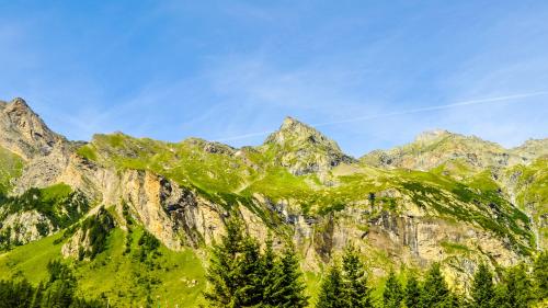 Green nature on the Gennargentu Massif during guided hiking tour