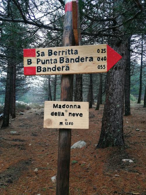 Directional signs in the Regional Park of Monte Limbara