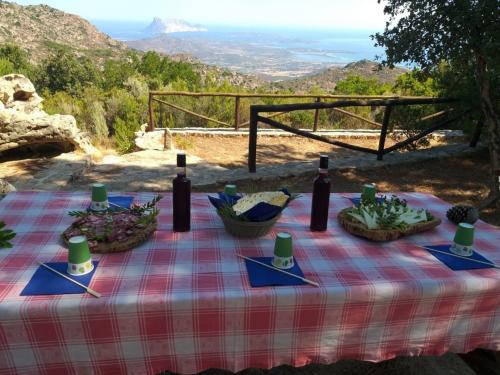 Lunch with typical products in the territory of San Teodoro