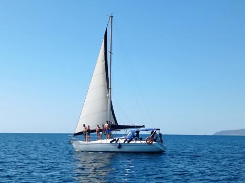 Sailing boat sails in the sea of Cagliari