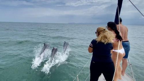 Escursionisti ammirano i delfini durante il tour in barca a vela nel Golfo di Cagliari